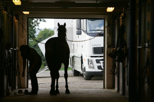 En vanlig syn under en tävlingsdag på en travbana (arkivbild). Foto: Anna Persson, TR Bild Foto av Anna Persson, TR Bild
